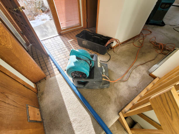 Best Mold removal after water damage  in Wabash, IN