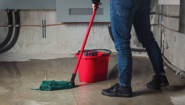 Best Professional water damage repair  in Wabash, IN