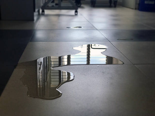 Best Local water damage restoration  in Wabash, IN
