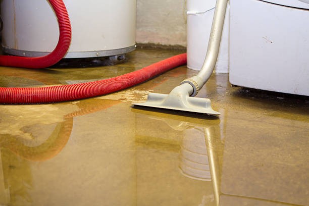 Sewage cleanup and water damage restoration in IN