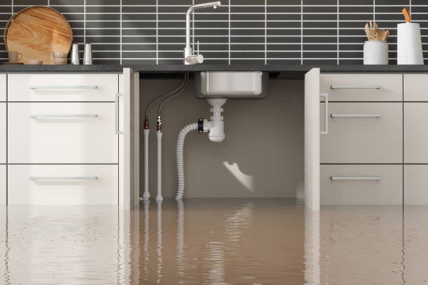 Best Water damage restoration process  in Wabash, IN