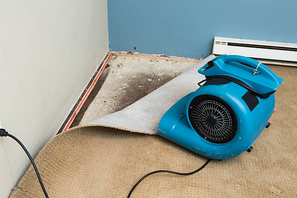 Best 24/7 water damage repair  in Wabash, IN